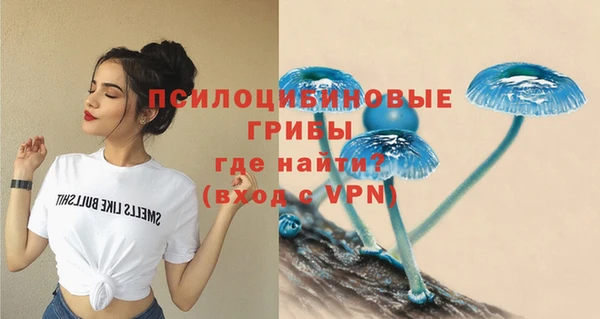 тгк Горняк