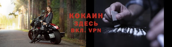 тгк Горняк