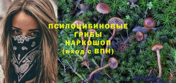 тгк Горняк